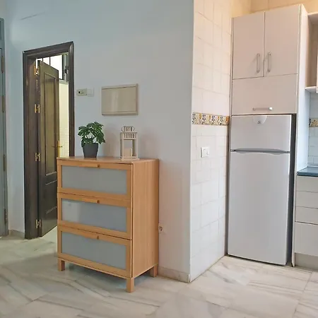 דירה Triana Exclusive Con Terraza Privada